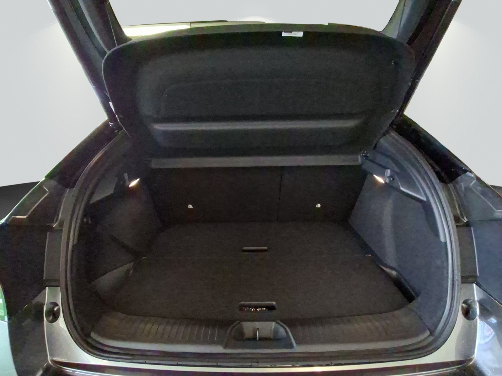 Nissan Leaf 75 kWh Evolve